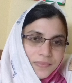 শিল্পী বেগম