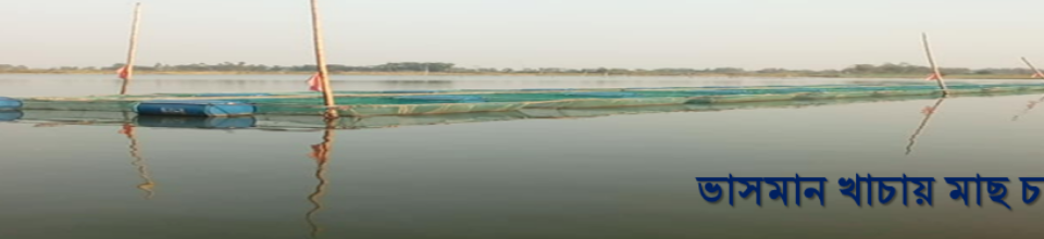 খাচায় মাছ চাষ