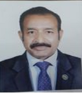 বিজিত ভূষণ রায়