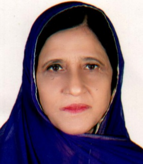 Habiba khatun