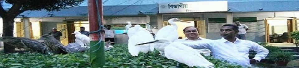 ধৃত বন্যপ্রাণী অবমুক্ত করণ