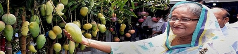 জাতীয় বৃক্ষমেলায় স্টল পরিদর্শন