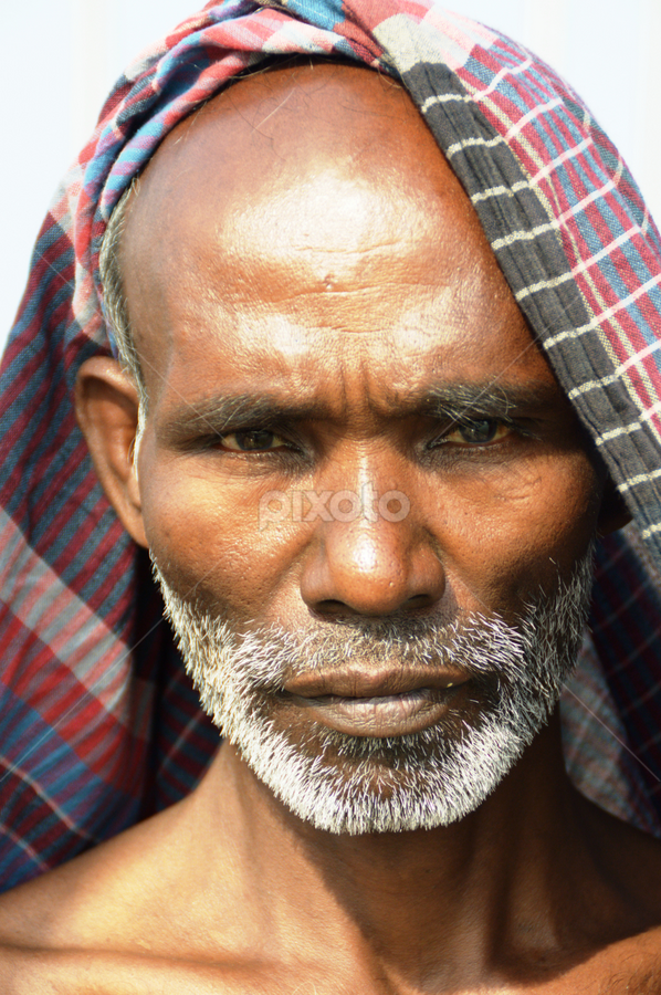 পাগল ভাল করণ সেবা